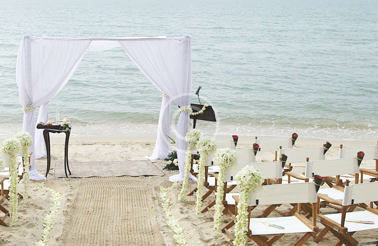 <span class="live-editor-title live-editor-title-149" data-post-id="149" data-post-date="2016-08-15 12:44:24">Beach Weddings</span>